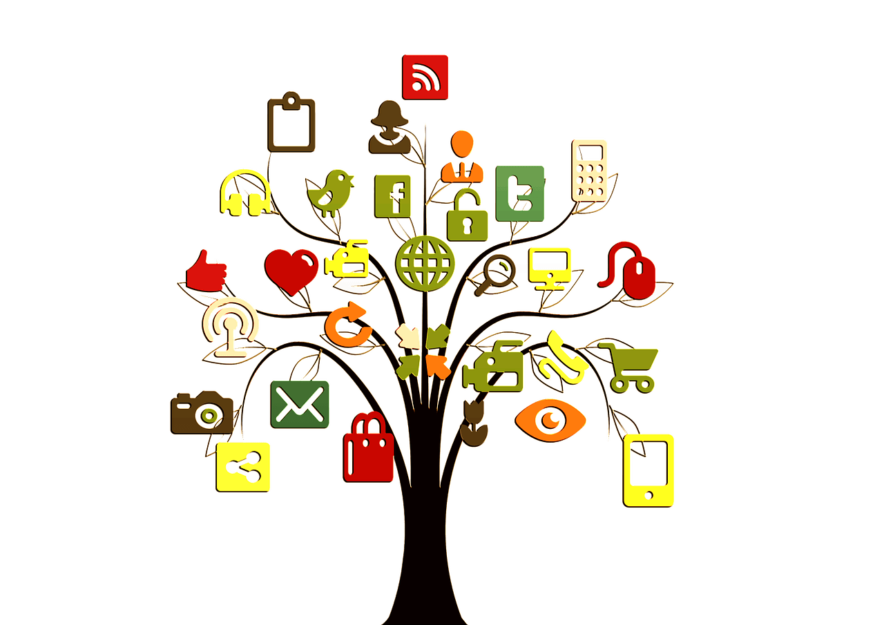 tiktok, tree, structure-2647471.jpg
