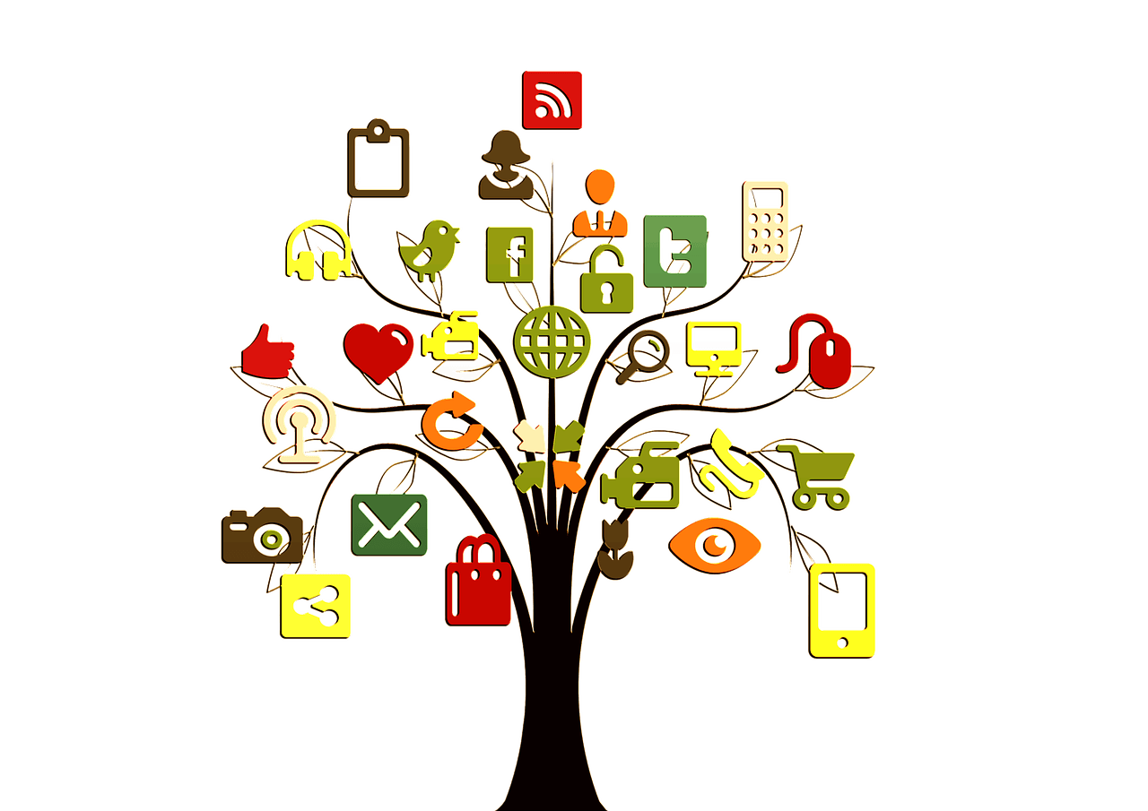 tiktok, tree, structure-2647471.jpg